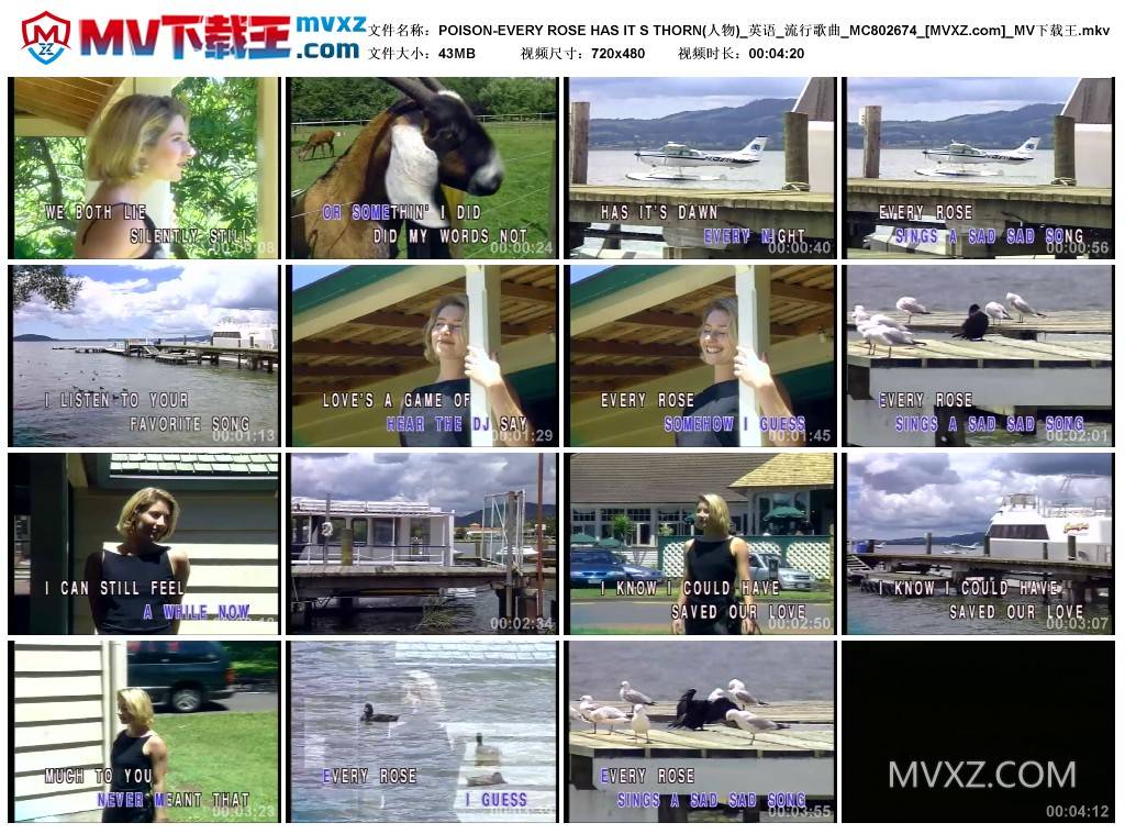 POISON-EVERY ROSE HAS IT S THORN(人物)_英语_流行歌曲_MC802674